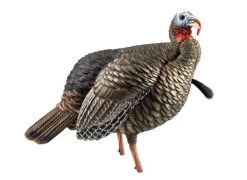 APPELANT AVIANX JAKE HDR