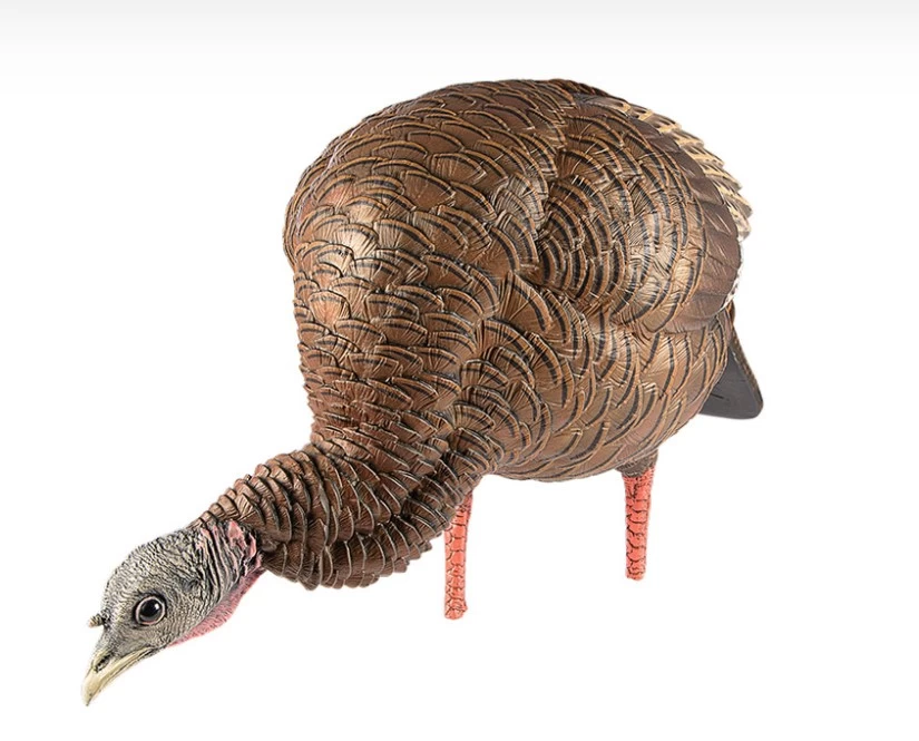 AVIAN X APPELANT A DINDON HDR FEEDER - Image 2