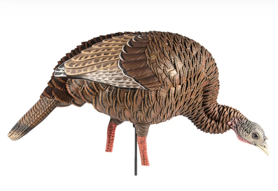 AVIAN X APPELANT A DINDON HDR FEEDER - Image 3