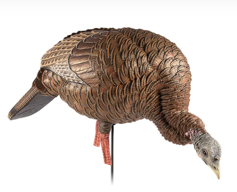 AVIAN X APPELANT A DINDON HDR FEEDER