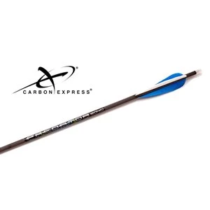 CARBON EXPRESS FLÈCHE PREDATOR