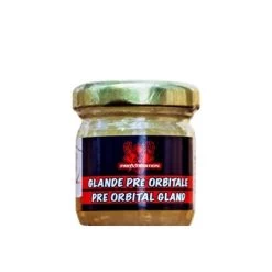 PROXPEDITION CHEVREUIL SYNTHÉTIQUE GLANDE ORBITALE GEL