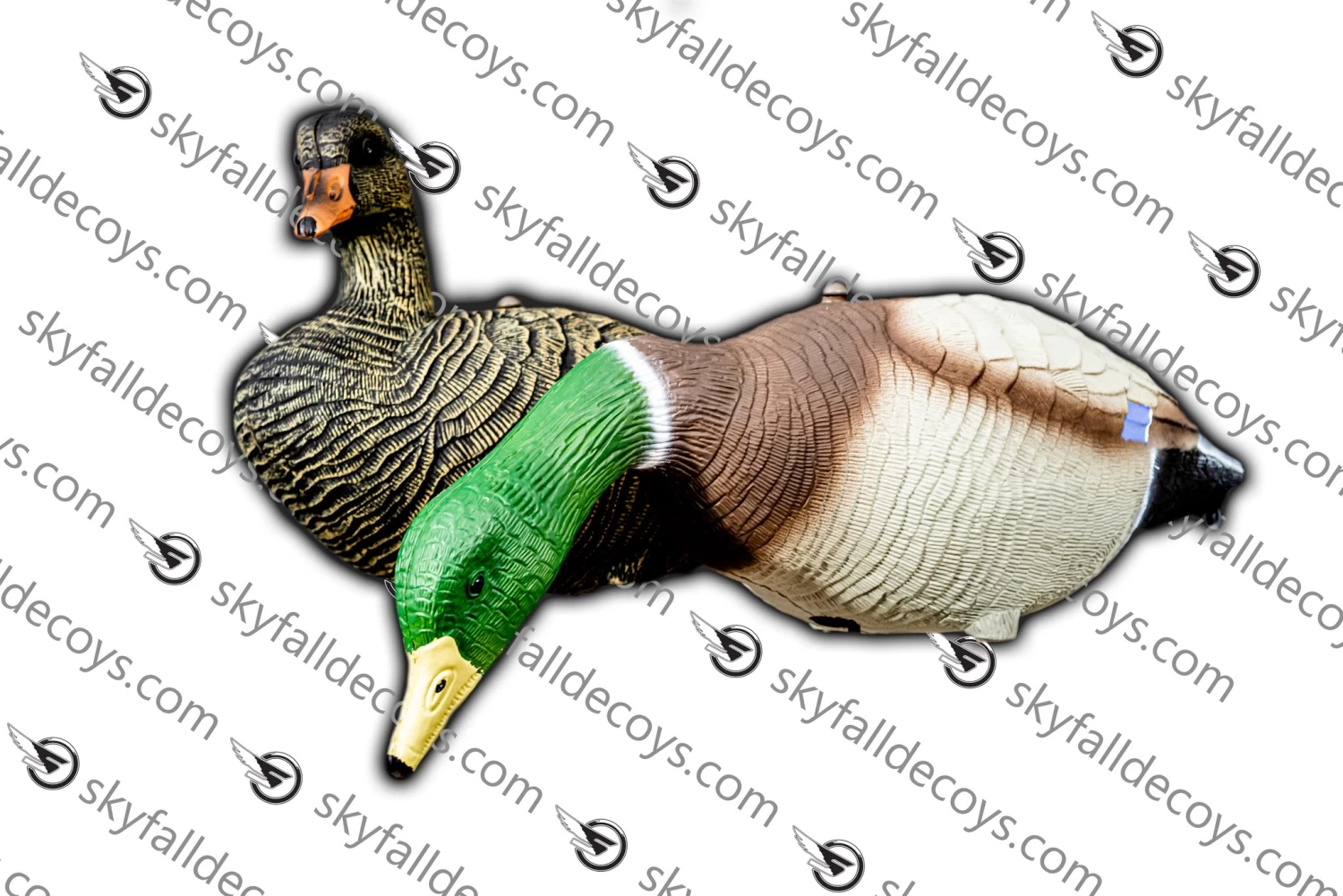 APPELANT CANARD MALARD 12/BTE SKY FALL DECOYS